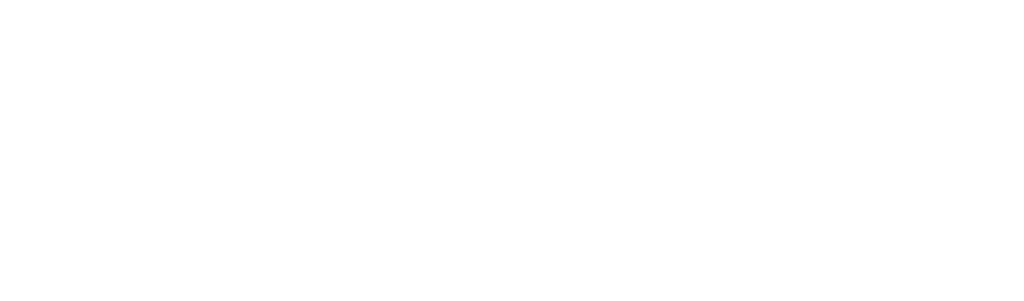 logo-ravin